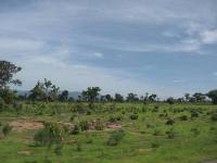 Paysages du nord Cameroun: cliquer pour aggrandir